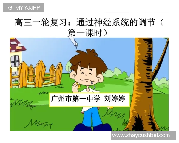 排球新手必看:全面解析状态提升与技巧掌握的入门指南 排球新手必看:全面解析状态提升与技巧掌握的入门指南